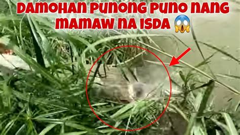 iniyot sa damohan|Iniyot sa damohan naka jackpot na nanamn .
